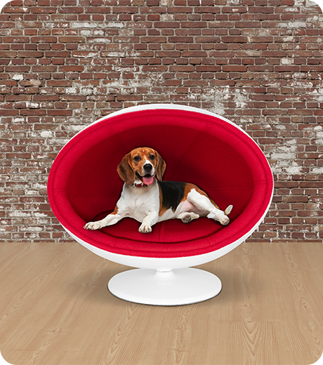 Fiberglass Ball Pet Chair/Bed